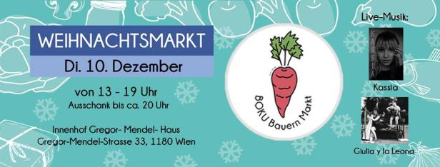 boku-bauern-markt-13-weihnachtsmarkt.jpg
