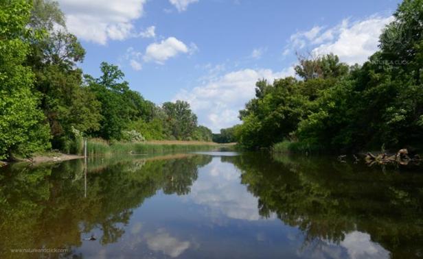 fotokurse-wien-natur-prater-3-auwald-s-dorner-natureandclick.jpg