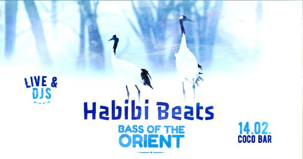 habibi-beats-flyer.jpg