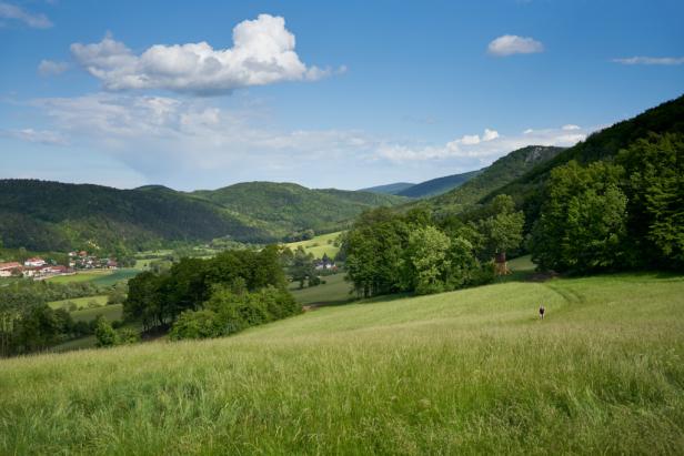 alland-wiesenwienerwald-small-stefanscholz.jpg