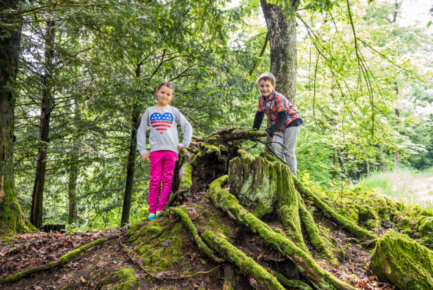 Kinder im Park komprimiert.png