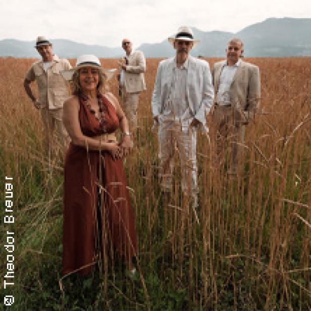 Eine Musikgruppe steht in einem Feld mit hohem, goldenem Gras.
