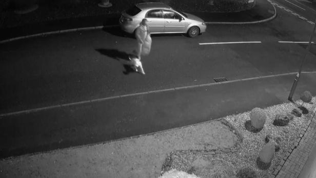 Eine Person geht nachts mit einem Hund an der Leine an einem Auto vorbei.