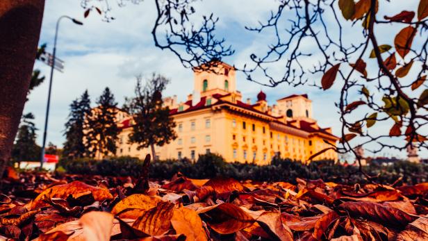 Das Herbstgold Festival findet auf Schloss Esterházy statt.