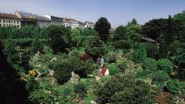 alpengarten.jpg