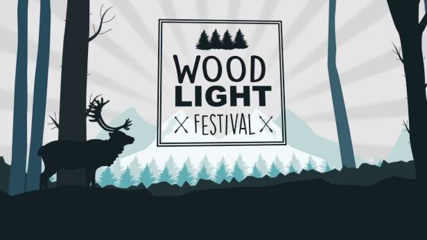 woodlight-festival1.jpg