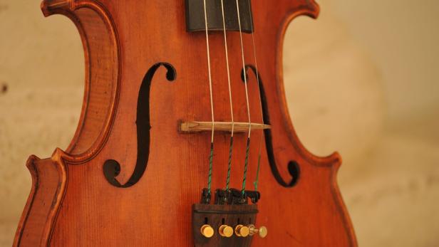 violin-1902922-960-720.jpg