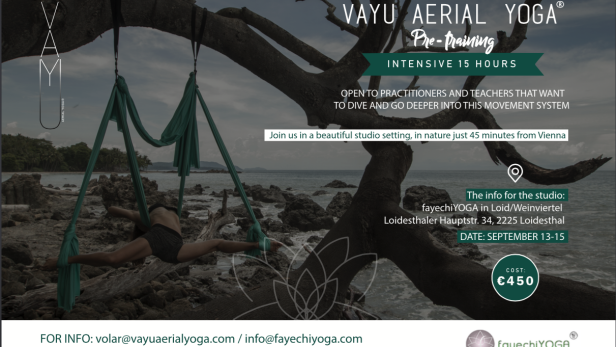 vayuaerialyoga-aerial-yoga-ana-prada-fayechiyoga-yoga-vayu-faye-sztrakati.png