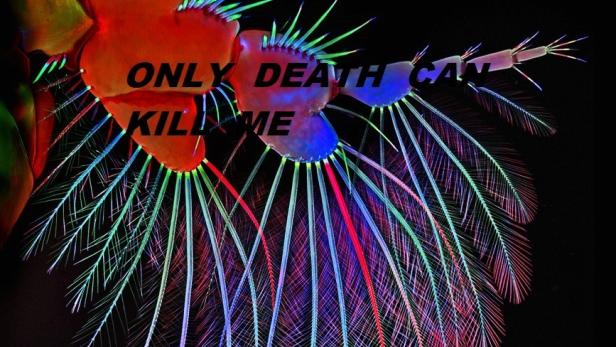 only-death-can-kill-me-5.jpg