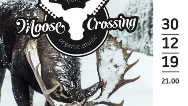 moose-crossing.jpg