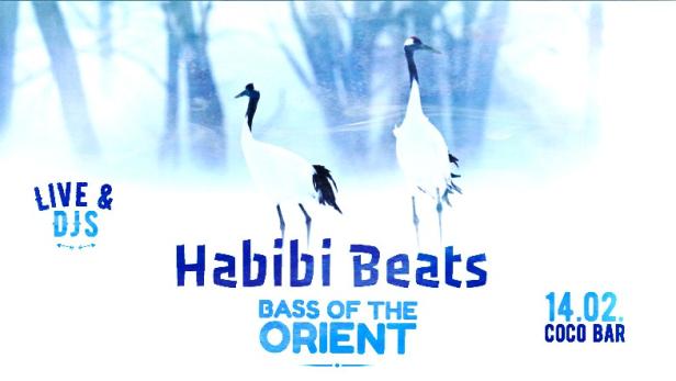 habibi-beats-flyer.jpg