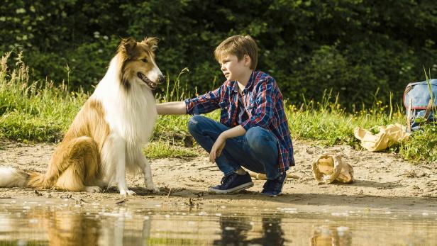 04-lassie-01-warner-bros-pictures-gmbh-kopie.jpg