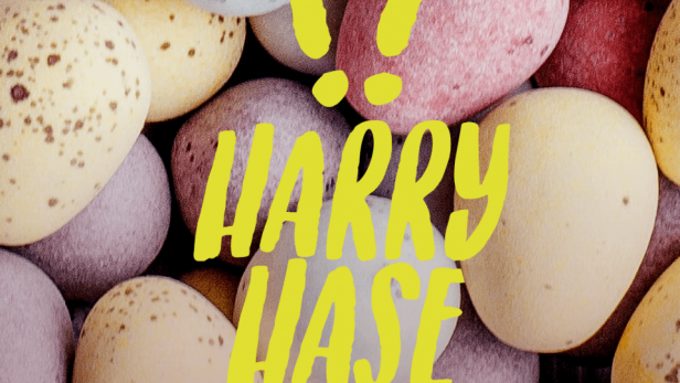 nl-harry-hase-web-hover-sujet-960x1024-0.png