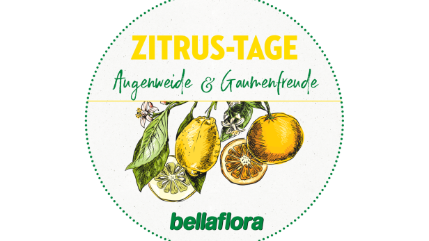 bellaflora-zitrus-roadshow.png