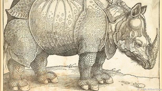 Auch Dürers Rhinozeros ist verlässlicher Stammgast der neuen Albertina-Schau