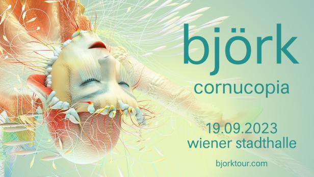 Björk Konzert