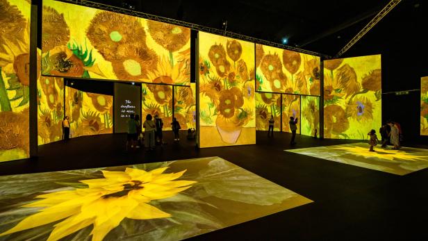 Van Gogh Immersive Ausstellung