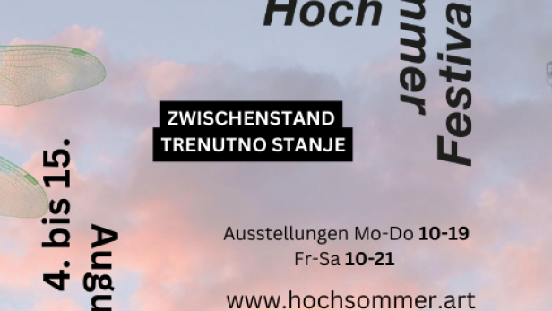 Banner HochSommer Festival.png