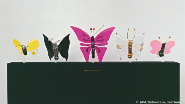 Bertlmanns Schmetterlinge mit eindeutiger Konnotation