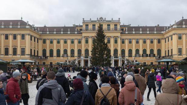 Viele Menschen besuchen den Weihnachtsmarkt vor Schloss Schönbrunn in Wien.