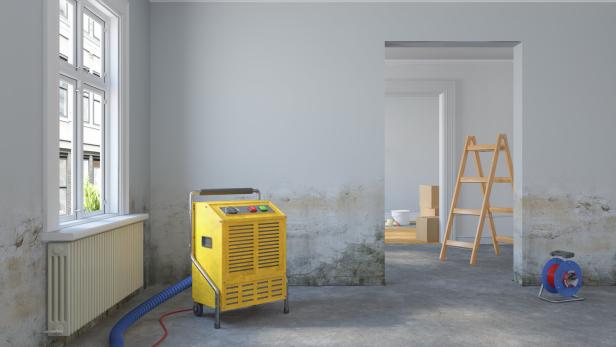 3d rendering - empty scandinavian room - dehumidifier - renovate