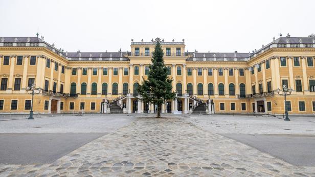 Vor dem Schloss Schönbrunn in Wien steht ein großer Weihnachtsbaum.