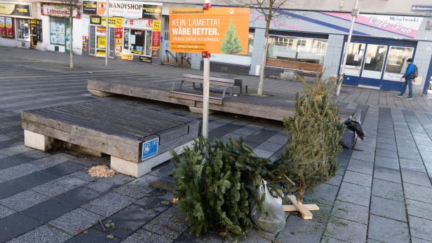 Auf einem Platz liegen ausgediente Weihnachtsbäume neben einem Sammelstelle-Schild.