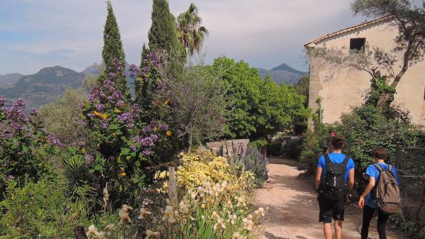 Mallorca ist ein Wanderparadies: Weg von Deià nach Port de Sóller