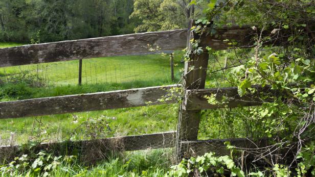 Wooden Fence and Green Field