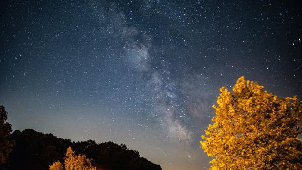 Herbstlicher gelber Baumleuchtet im Nachhimmel