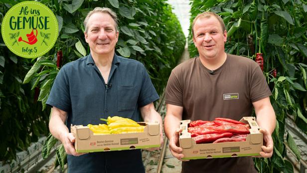Robert Palfrader und Michael Unger halten jeweils einen Karton mit Spitzpaprika in den Händen.