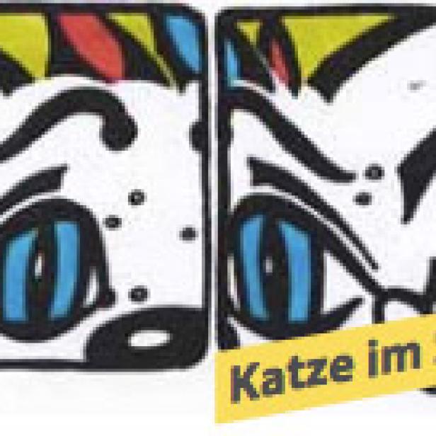 katzeimsack.jpg