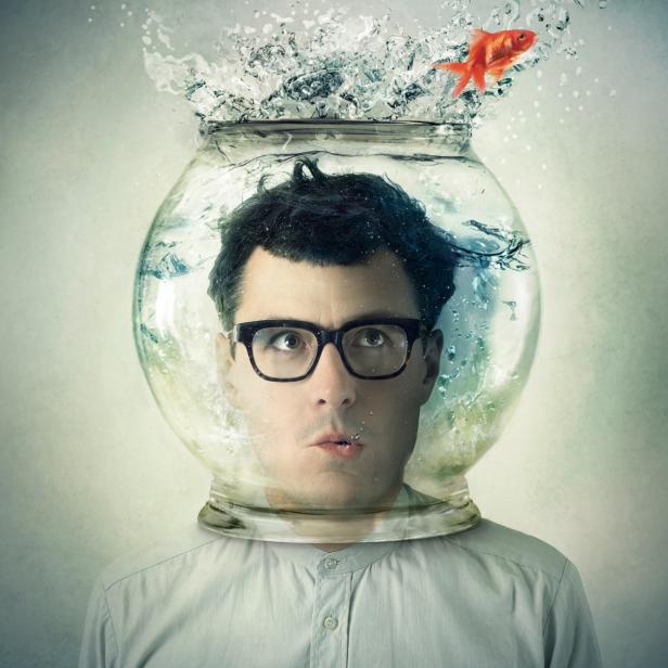 Ein Mann mit Brille hat ein Goldfischglas über dem Kopf, aus dem ein Goldfisch springt.