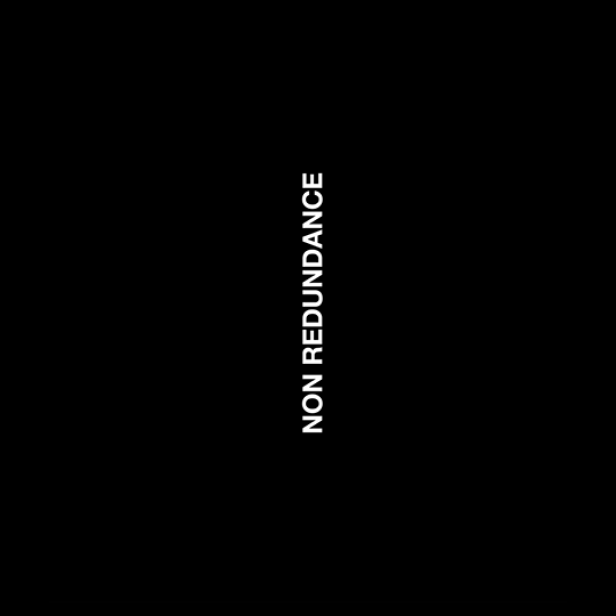 Der Text „NON REDUNDANCE“ ist vertikal in Weiß auf einem schwarzen Hintergrund geschrieben.