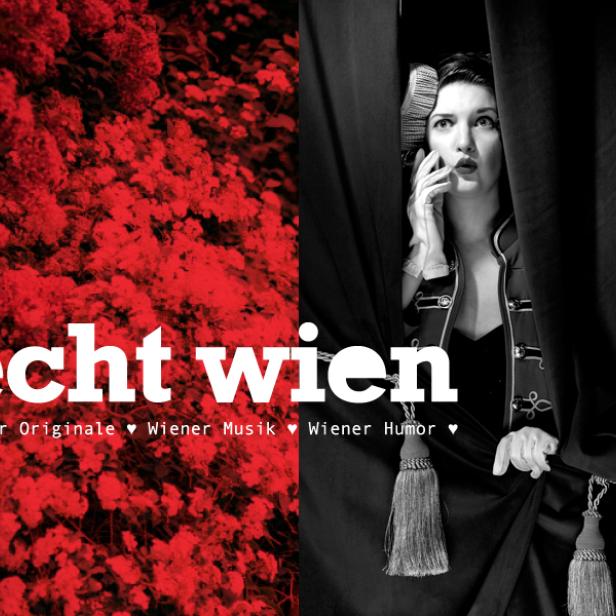 echt-wien-800-600-4.jpg