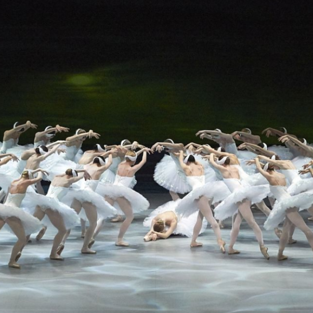 schwanenseestaatsoper.png