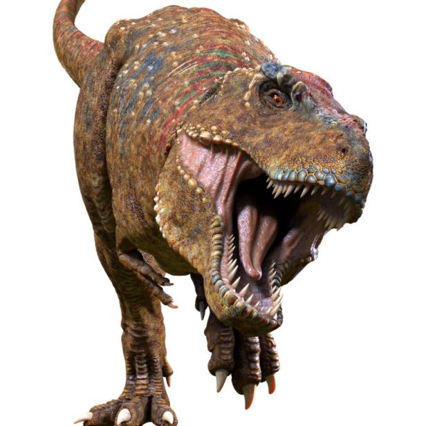 dino.jpg