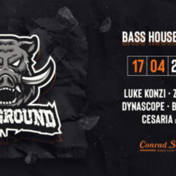 Werbeplakat für ein Bass House Event von Bassground am 17. April 2022 mit verschiedenen DJs.