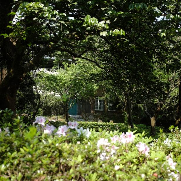 Ein Garten mit blühenden Azaleen und einem Haus im Hintergrund.