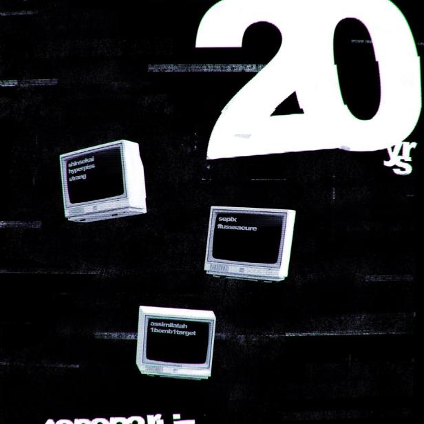 noisecamp_20yrs_screens.jpg