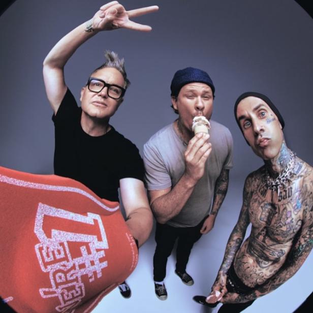 Blink-182 haben wieder zueinander gefunden.