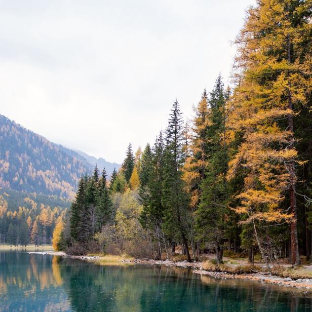 Herbst Ausflug Steiermark