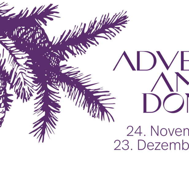 Grafik für „Advent am Dom“ vom 24. November bis 23. Dezember 2023 mit Tannenzweig und Zapfen.