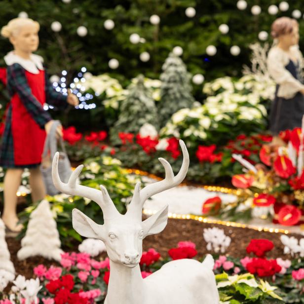 Weihnachtsausstellung in den Blumengärten Hirschstetten