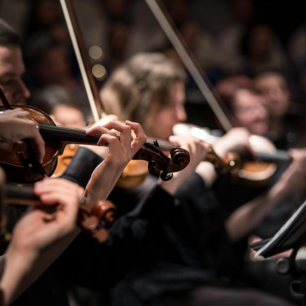 Mehrere Geiger spielen in einem Orchester.