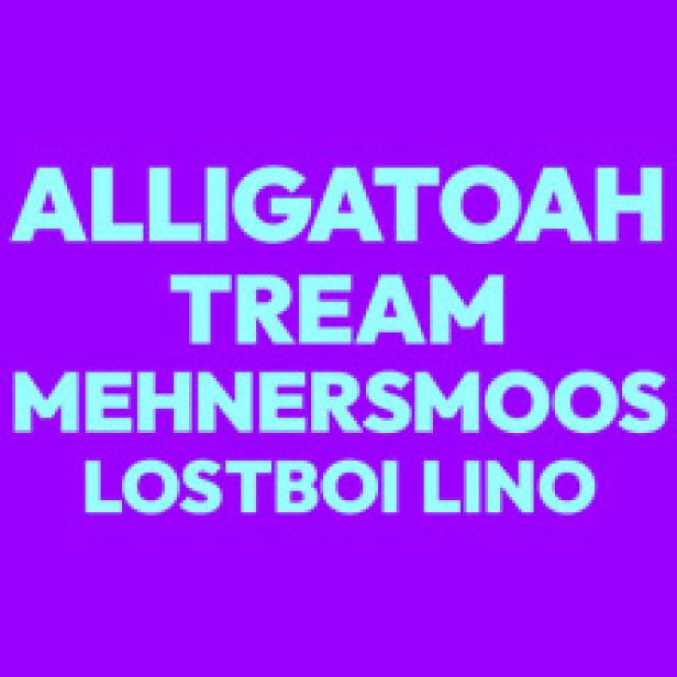 Lila Hintergrund mit dem Schriftzug ALLIGATOAH, TREAM, MEHNERSMOOS und LOSTBOI LINO.