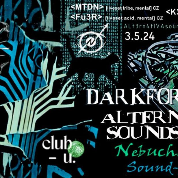 Ein Flyer für „Darkforest Alternativa Soundsystem“ am 3.5.24 mit verschiedenen DJs.