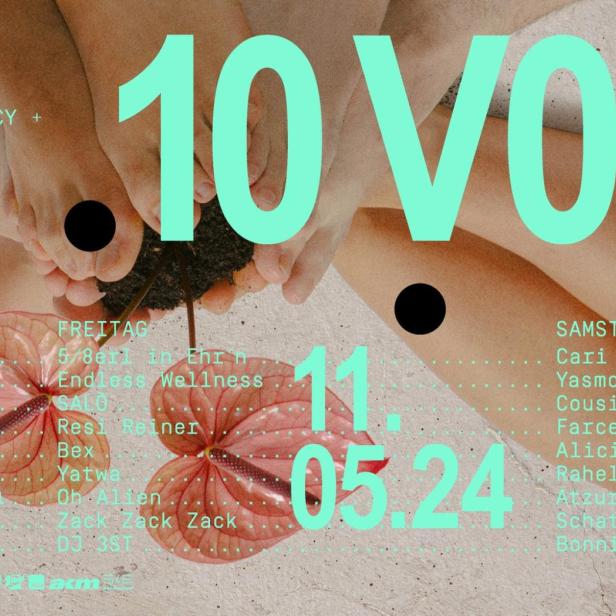 Ein Veranstaltungsplakat für das „10 Volt“ Festival in Hallein, mit Künstlernamen und Daten.