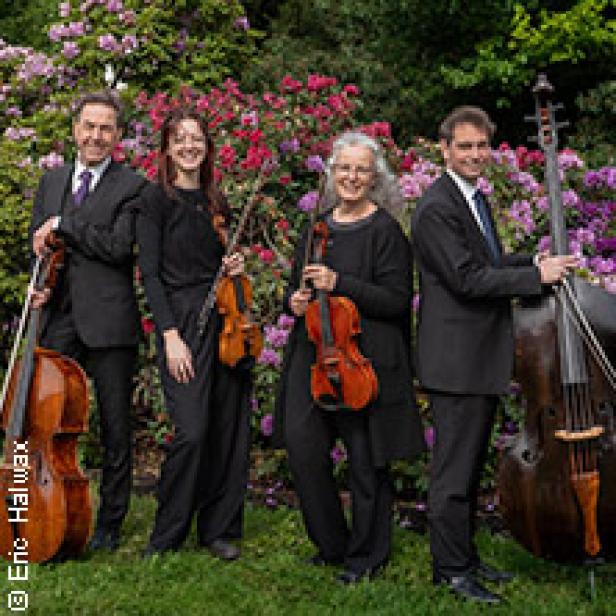 Ein Streichquartett posiert vor einem blühenden Busch für ein Gruppenfoto.