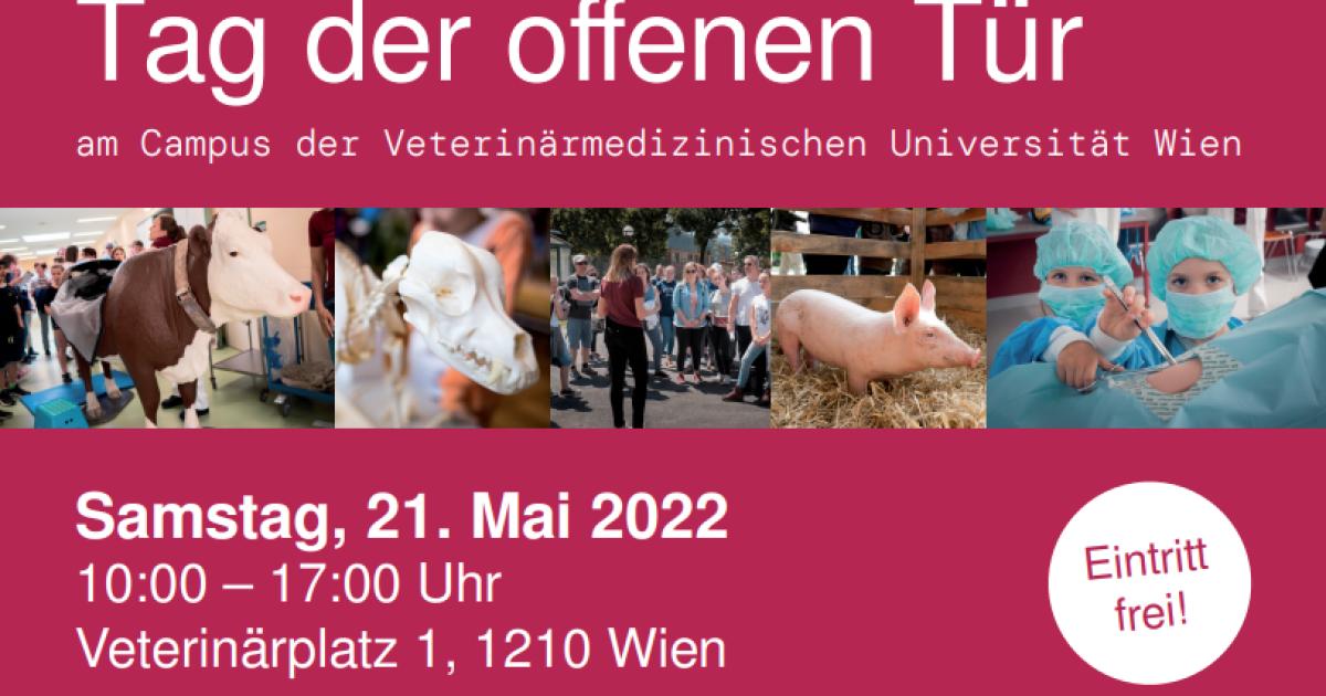 Tag Der Offenen Tür An Der Vetmeduni Wien